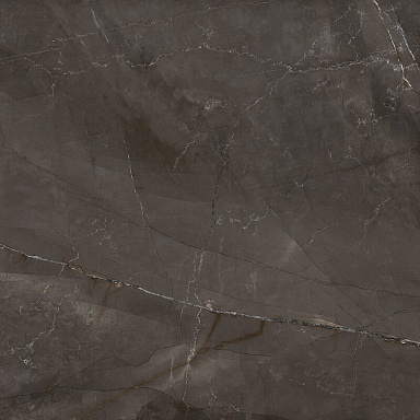 Керамогранит Laparet LP6060G0061R Timeless Marrone коричневый матовый карвинг 59,5х59,5