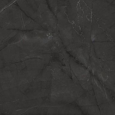 Керамогранит Laparet LP6060G0041R Timeless Grafite графит матовый карвинг 59,5х59,5