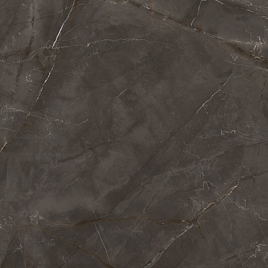 Керамогранит Laparet LP6060G0061R Timeless Marrone коричневый матовый карвинг 59,5х59,5