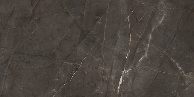 Керамогранит Laparet LP6012G0051R Timeless Marrone коричневый матовый карвинг 59,5х119,1