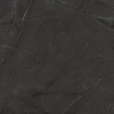 Керамогранит Laparet LP6060G0041R Timeless Grafite графит матовый карвинг 59,5х59,5
