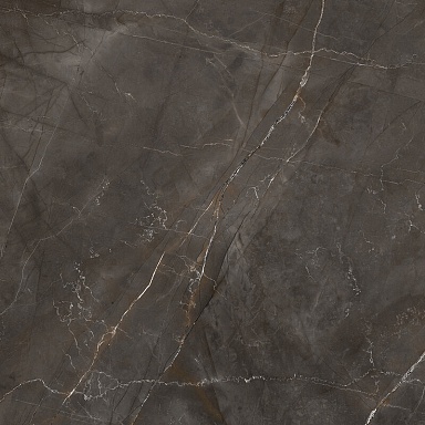 Керамогранит Laparet LP6060G0061R Timeless Marrone коричневый матовый карвинг 59,5х59,5