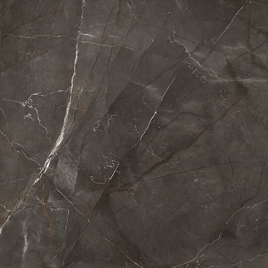 Керамогранит Laparet LP6060G0061R Timeless Marrone коричневый матовый карвинг 59,5х59,5