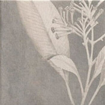 Керамогранит Mainzu Soft Kamelia Grey 15x15