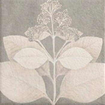 Керамогранит Mainzu Soft Kamelia Grey 15x15