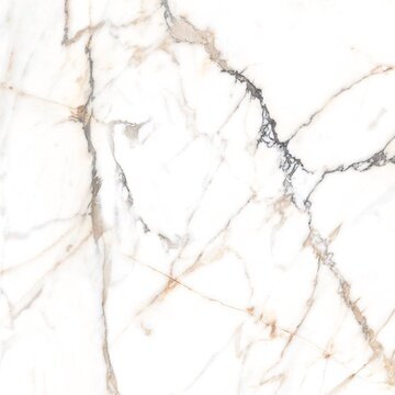 Керамогранит Alpas Euro Eco Marble 6582 Polished 60x60