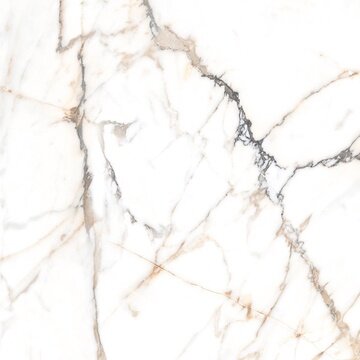 Керамогранит Alpas Euro Eco Marble 6582 Polished 60x60
