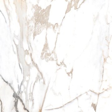 Керамогранит Alpas Euro Eco Marble 6582 Polished 60x60