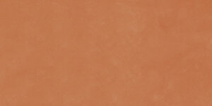 Керамогранит Imola Ceramica RTN6 ARANC12 RM 60x120