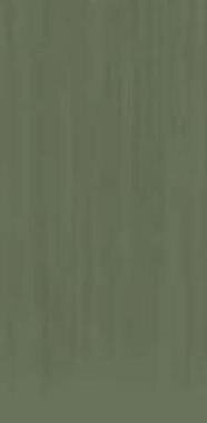 Керамогранит Mega Tile TC Light Green Mat 60x120