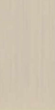 Керамогранит Mega Tile TC Beige Mat 60x120