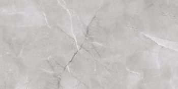 Керамогранит Absolut Gres AB 1142G Armani Silver gloss 1200x600