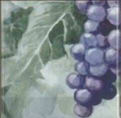 Панно Absolut Keramika Monocolor Composicion Acuarela Uvas 20х40
