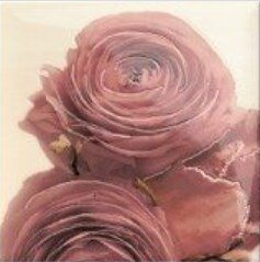 Декор Mainzu Decor Cuore 20x20 mix