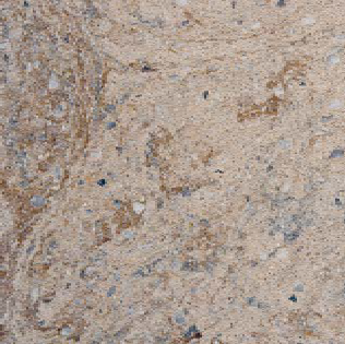 Керамогранит Serapool FM165165 Fossil Mix 16,5х16,5