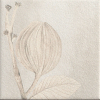 Керамогранит Mainzu Soft Kamelia White 15x15