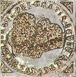 Декоративная вставка Ceracasa Olambrilla Dolomite Fortune Cinder Plata 7x7
