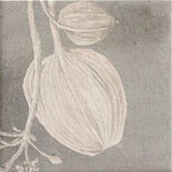Керамогранит Mainzu Soft Kamelia Grey 15x15