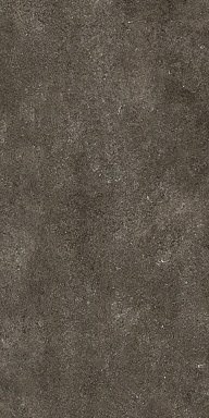 Керамогранит Casa Dolce Casa 768585 Sensi Brown Fossil Nat Ret 6mm 120x240