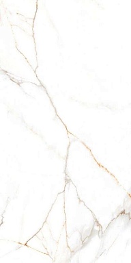 Керамогранит BELLEZA Austrain Natural 600x1200