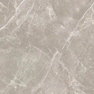 Керамогранит Cerim 766956 Elemental Grey Dolomia Luc Ret 60x60