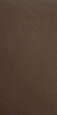 Керамогранит Casalgrande Padana 4796551 Architecture Dark Brown Gloss 9,5 мм 30x60