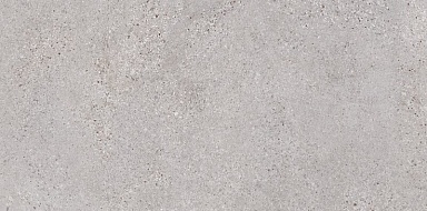 Керамогранит LB-Ceramics 6260-0191 Трэверс светло-серый 30х60