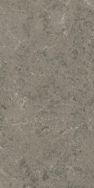 Керамогранит Atlas Concorde Italy AJIU Marvel Meraviglia Grigio Elegante Matt 60x120