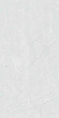 Керамогранит BELLEZA RS 123 White Carving 60x120
