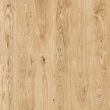 Керамогранит ProGRES Ceramica NR0395-M Керафорест Pine Коричневый светлый матовый 600x600x9.5