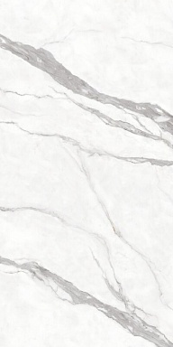 Керамогранит Protiles PT12F7002 Calacatta Matt 1200х600х9