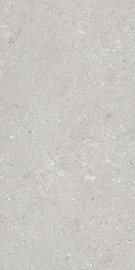 Керамогранит Dado Ceramica 005487 Shellstone Bianco 60x120