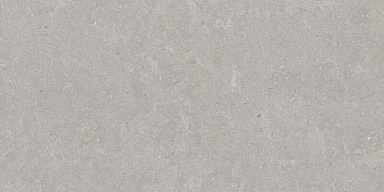 Керамогранит Peronda 35568 Ghent Grey/50X100X2/A/R 50x100