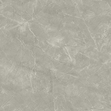 Керамогранит Laparet Wolf Grey 80х80
