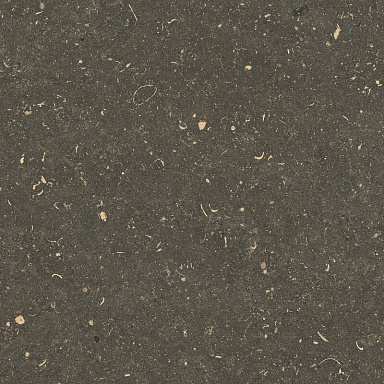 Керамогранит Casa Dolce Casa 785507 Rinascenza Arena Platino Grip 20mm 120x120