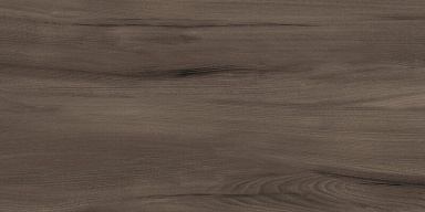 Керамогранит Artkera Group GP36GOA21 Goa Marron матовый 300x600x8
