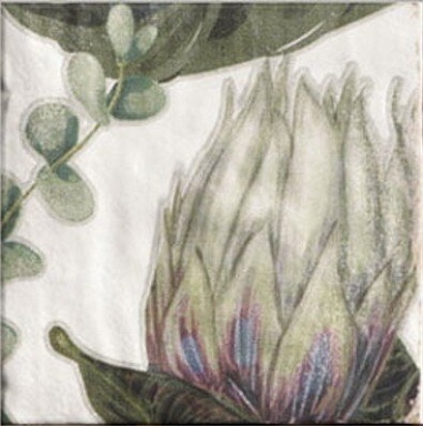 Декор Mainzu Decor Protea 20x20
