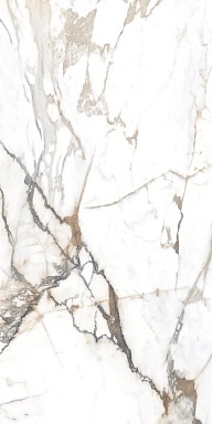 Керамогранит Alpas Euro Eco Marble 6582 Polished 60x120