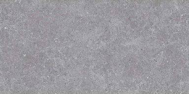 Керамогранит Novin Ceram Yazd Tile Co SE9545M35 Lasko Gray Semi Polish Rect 60х120