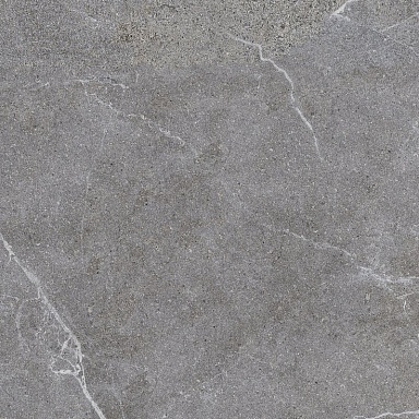 Керамогранит LB-Ceramics 6461-0424 Гроза серый 60х60