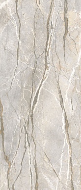 Керамогранит Flaviker PF60017226 Supreme Hedonism Silver Roots Lux 3D R 120x280