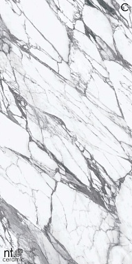 Керамогранит NT Ceramic NTT3507L Calaсatta Rock 120x270