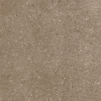 Керамогранит Гранитея G214МR Arkaim Brown 60x60