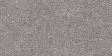 Керамогранит Kerama Marazzi DL500920R Фондамента серый обрезной 60х119,5