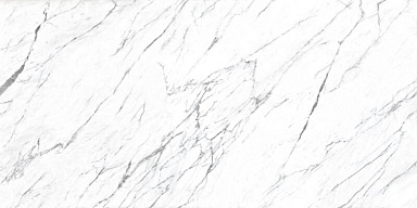 Керамогранит Roca FPK00MQ011 LM STATUARIO MC 100X200