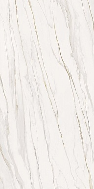Керамогранит Serenissima Cir Florentino Silk Rett 60x120