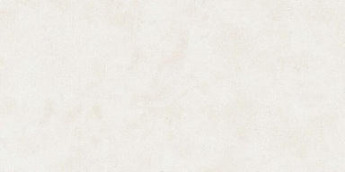 Керамогранит Buono Ceramica EVL4802M Emma Fiore Base Matt 60x120