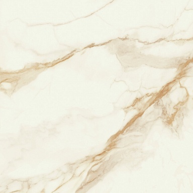 Керамогранит STN Ceramica P.E. Pul. Camile gold rect. 120x120