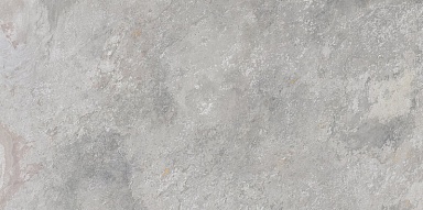Керамогранит Porcelanosa 100202669 Image Silver 59.6x120