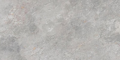 Керамогранит Porcelanosa 100202111 Image Silver 40x80